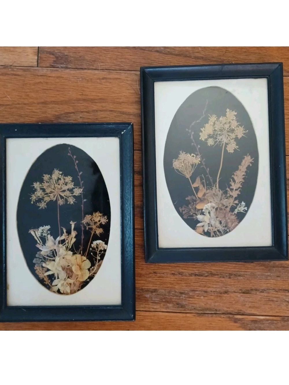 Vintage Set Of 2 Pressed Flower Framed Wall Art Black Oval Botanical Herbarium